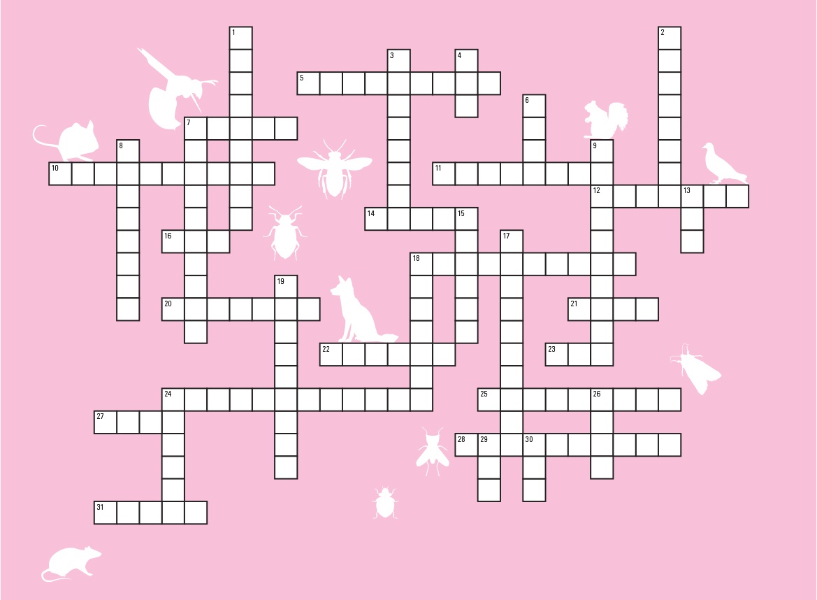 crossword2